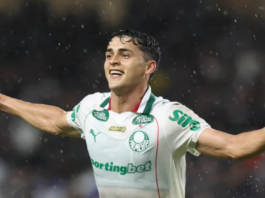 Invicto no Estádio do Café, Palmeiras não perde em Londrina desde 1958