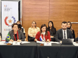 Brasil propõe pacto regional contra feminicídio no Mercosul