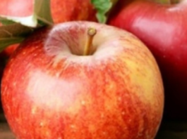 Preço da maçã cai nas Ceasas em abril, enquanto cenoura, cebola e tomate seguem em alta