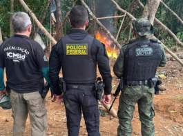 A Polícia Federal, em conjunto com o Ibama e a Força Nacional, encerrou hoje (15) a Operação Calha Norte. A ação destruiu sete garimpos ilegais na divisa entre Pará e Amapá, inutilizando tratores, escavadeiras e milhares de litros de combustível. Saiba mais sobre a ofensiva na Amazônia.