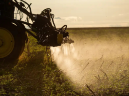 Agronegócio poderá usar linha de crédito do FAT para inovação