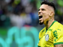 Palmeiras tem 51% de chances de título da Série A, e Flamengo surge com 35% antes da parada para a Copa