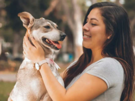 Mais saúde e longevidade: Ter um cachorro ajuda a proteger o coração e combate a solidão