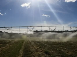 Nova Medida Provisória facilita pagamento de dívidas agrícolas e cria fundo garantidor contra perdas climáticas