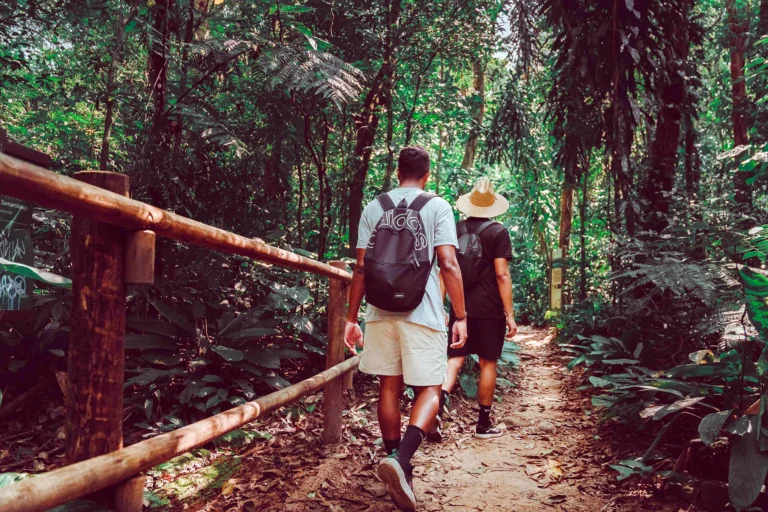 Foto Matheus D'Aguillar - DivulgaçãoTrilha da Cachoeira do Ribeirão de Itu, em Boiçucanga, zona sul de São Sebastião - Foto Matheus D'Aguillar - Divulgação